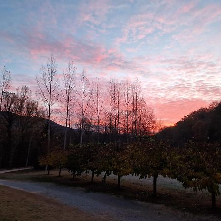 Can Torrotes La Vall de Bianya Eksteriør bilde