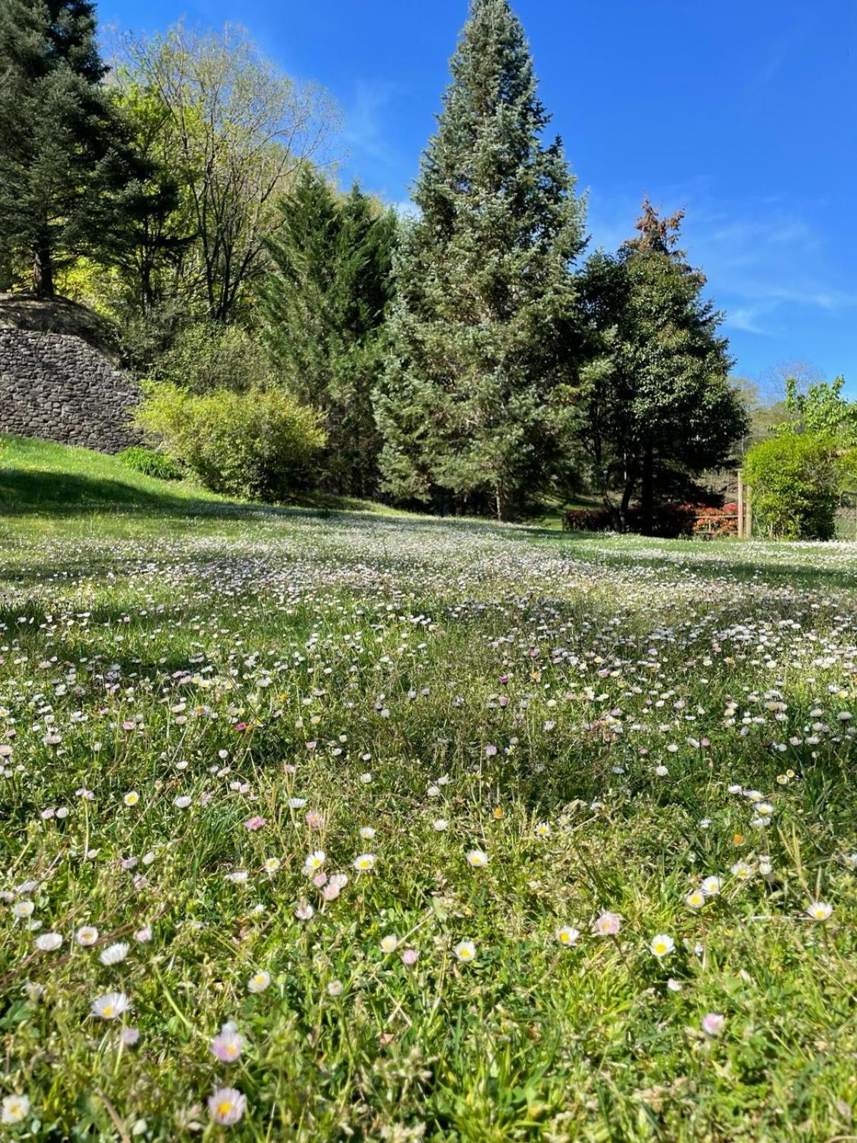 Can Torrotes La Vall de Bianya Eksteriør bilde